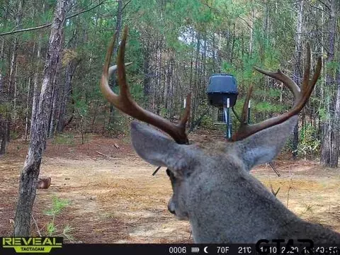tbd Cr 3230, Quitman, TX 75783