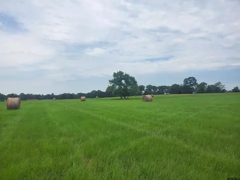tbd Cr 4221, Frankston, TX 75763