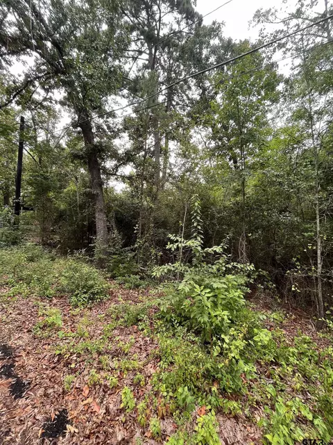 tbd Valley View Dr, Frankston, TX 75763
