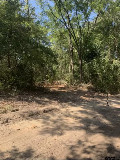 tbd Lot 3 Beverly, Overton, TX 75684