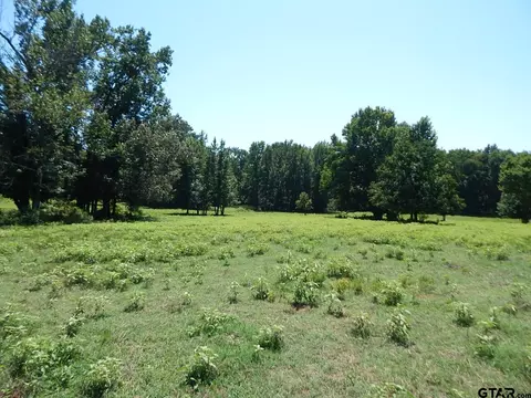 tbd 1362 Fm 557, Pittsburg, TX 75686