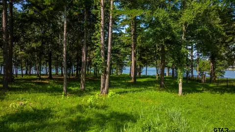 lot1 R Eagles Nest Cir, Mount Vernon, TX 75457