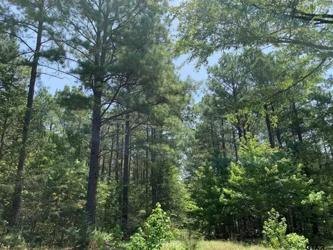 577 Cr 2323, Rusk, TX 75785