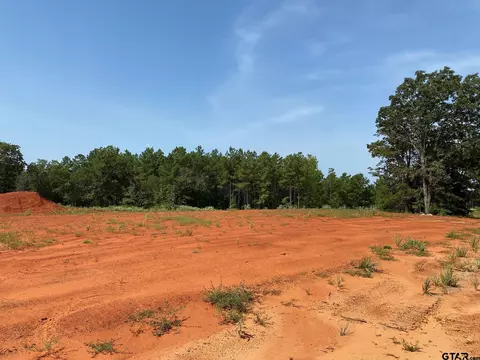12304 Oak Grv, Tyler, TX 75706