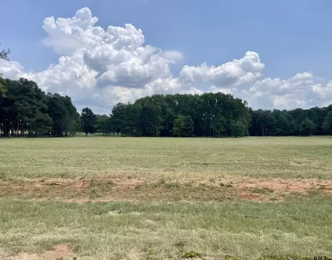 tbd Tract 9 Fm 1892, Frankston, TX 75763