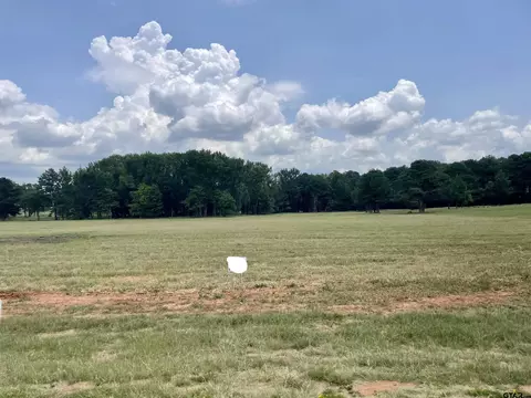 tbd Tract 10 Fm 1892, Frankston, TX 75763