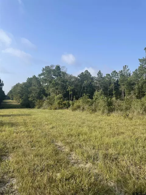 tbd Cr 2846, Colmesneil, TX 75938
