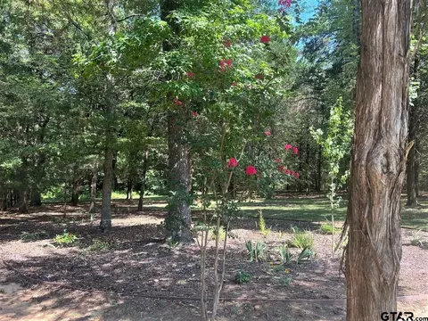 lot64 Cr 2317, Mineola, TX 75773