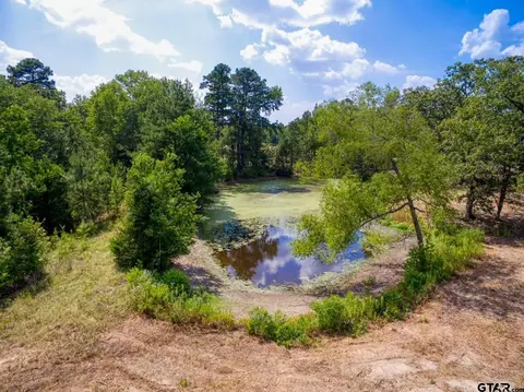 337 An County Road 1635, Palestine, TX 75801