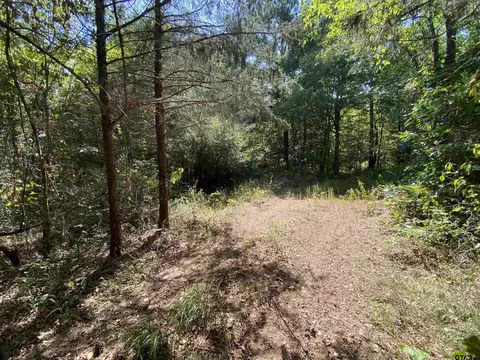 tbd Cr 4502, Jacksonville, TX 75766