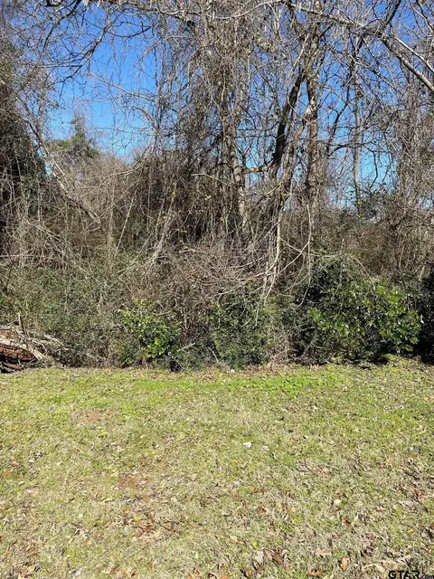 tbd Burk St, Palestine, TX 75803