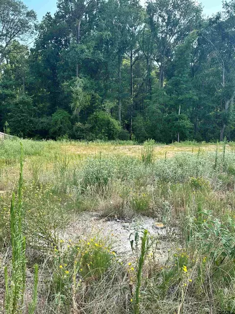 9151 Long Br #LOT 19, Tyler, TX 75703