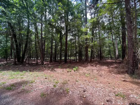 lot S 1213 Weeping Willow Dr, Mount Vernon, TX 75457