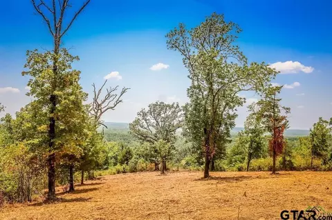 lot3 County Road 358, Winona, TX 75792
