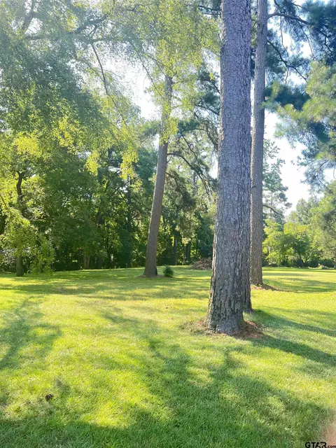 405 Freeman Ave, Daingerfield, TX 75638
