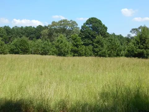 tbd Lot 14 Law Rd, Harleton, TX 75651
