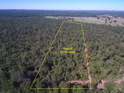 10 4 Ac Cr 3163, Laneville, TX 75667