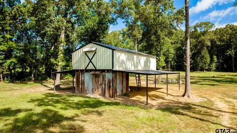 343 Driskell Bridge Rd, Harleton, TX 75651 photo 38