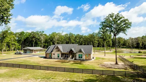 343 Driskell Bridge Rd, Harleton, TX 75651 photo 41