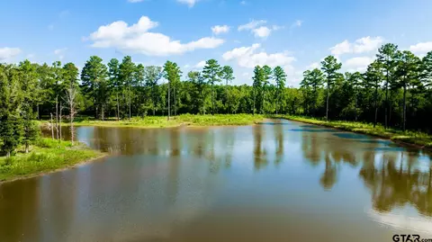 343 Driskell Bridge Rd, Harleton, TX 75651 photo 35