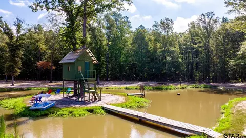 343 Driskell Bridge Rd, Harleton, TX 75651 photo 37