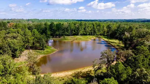 343 Driskell Bridge Rd, Harleton, TX 75651 photo 34