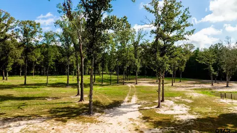 343 Driskell Bridge Rd, Harleton, TX 75651 photo 39