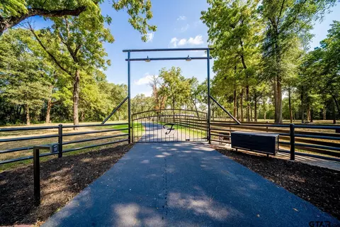 343 Driskell Bridge Rd, Harleton, TX 75651 photo 2