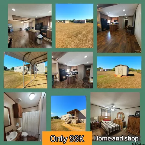 313 Meadow St, Bullard, TX 75757