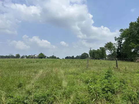 lot2 Acres Cr 2169 Fm 15, Troup, TX 75789