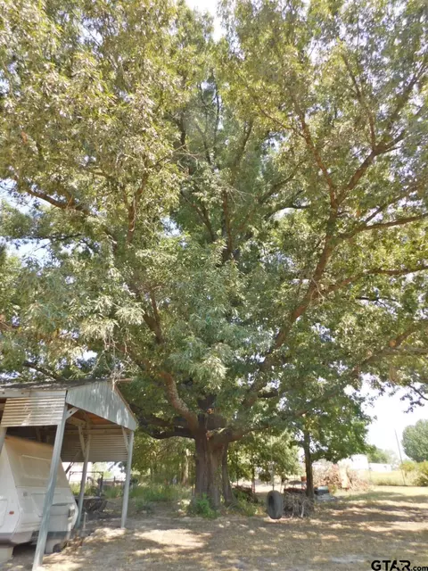 154 Comanche, Quitman, TX 75783 photo 21