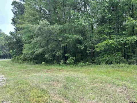 20169 County Road 2138, Troup, TX 75789