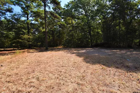 17562 Highland Cir, Flint, TX 75762