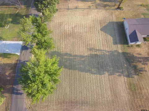 lot8 Royal Dr, Chandler, TX 75758