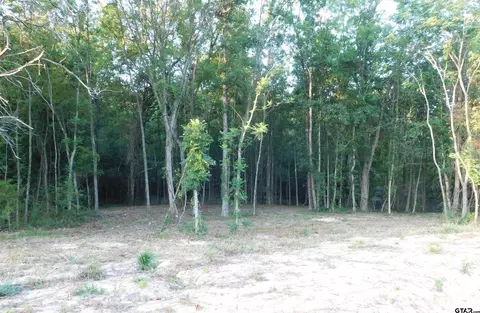 9932 N State Hwy 155, Ore City, TX 75683