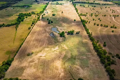 81 Acres County Rod 4761, Sulphur Springs, TX 75482