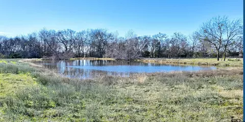 910 Vz County Road 3815, Wills Point, TX 75169