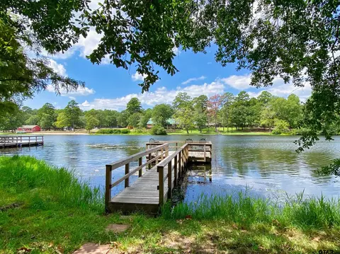 166 Blue Water Pt, Holly Lake Ranch, TX 75765