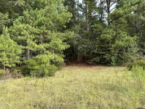 tbd Cr 2217 2223, Rusk, TX 75785