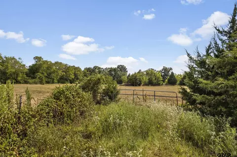 tbd E Highway 67, Cookville, TX 75558