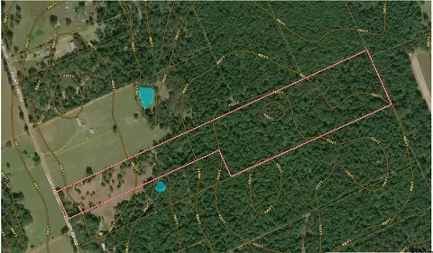 tbd An County Road 100, Elkhart, TX 75839