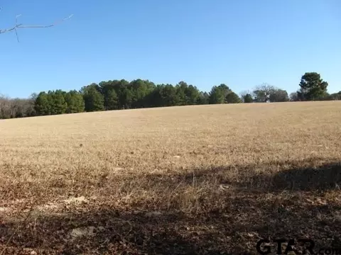 0 An County Rd 486, Palestine, TX 75803