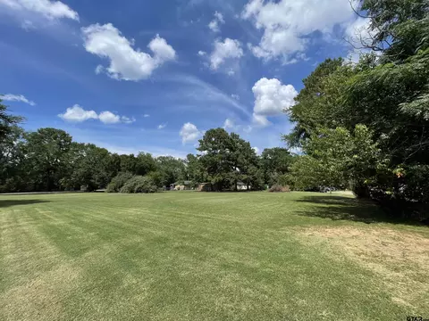 tbd Lot 20 21 Cr 308, Frankston, TX 75763