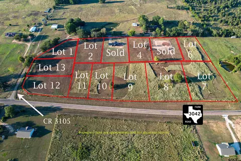 tbd Cr 3105 Lot #13, Pittsburg, TX 75686
