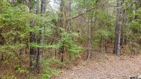 Tract 2 Cr 3460, Hawkins, TX 75765