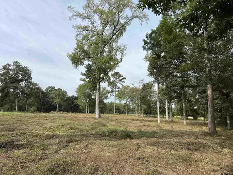 416 Alta St, Longview, TX 75604 photo 10