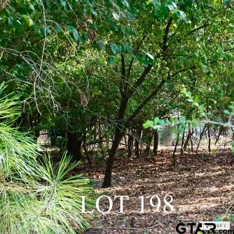 lot198 Tbd Holly Trl E, Holly Lake Ranch, TX 75765