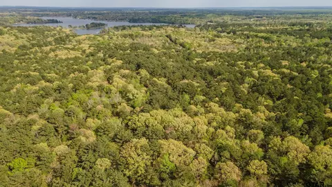 Tract 4 Cr 3460, Hawkins, TX 75765