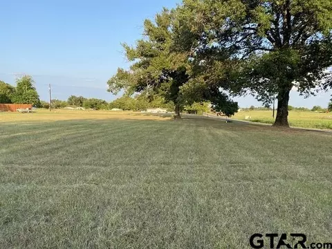 tbd Fm 17, Alba, TX 75410