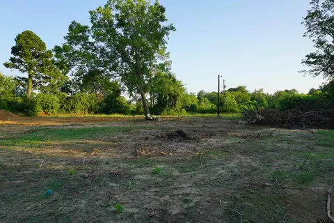 281 Pr 6113, Quitman, TX 75783